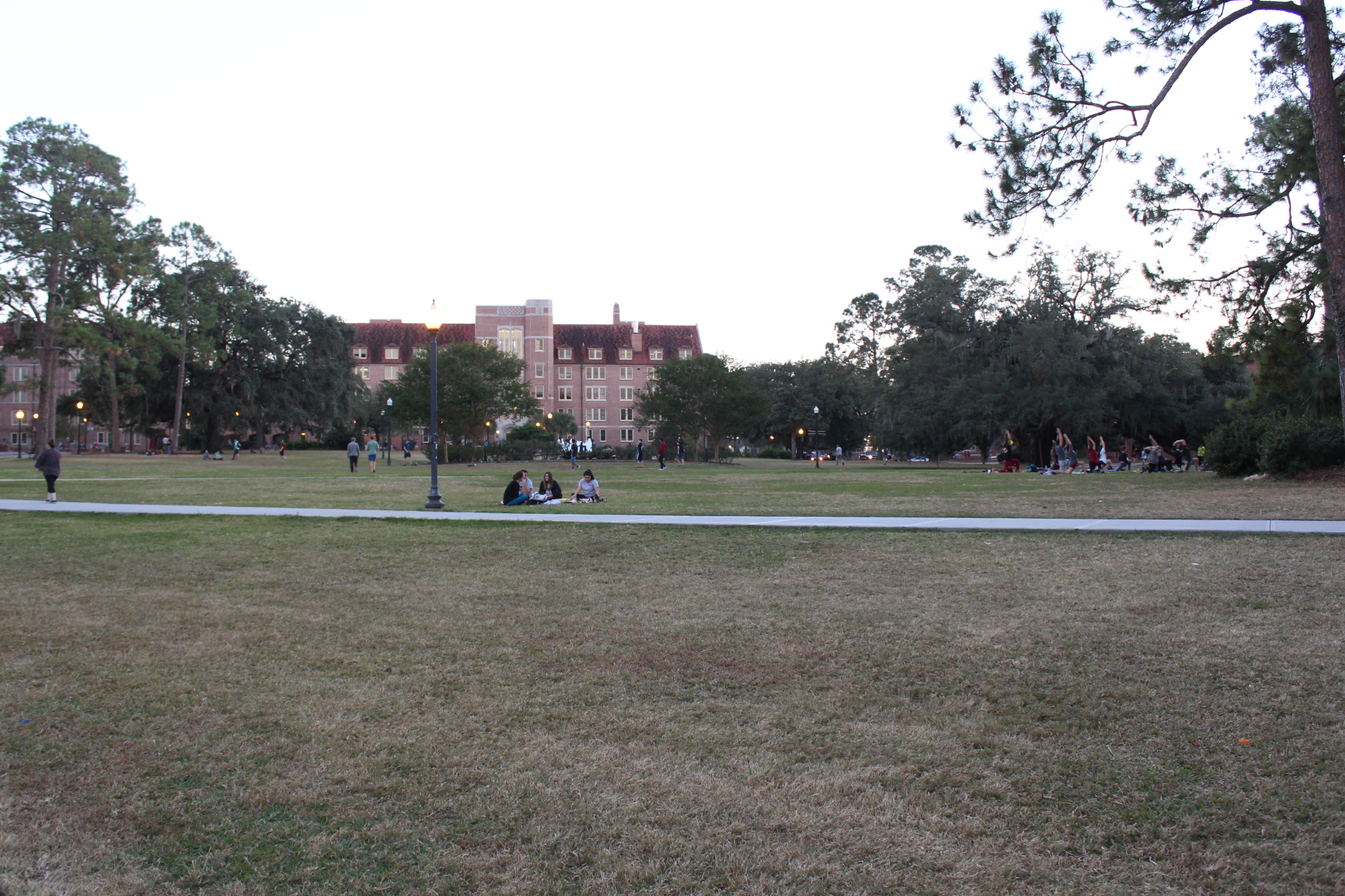 FSU move-in weekend - relevant image for Tallahassee, FL.