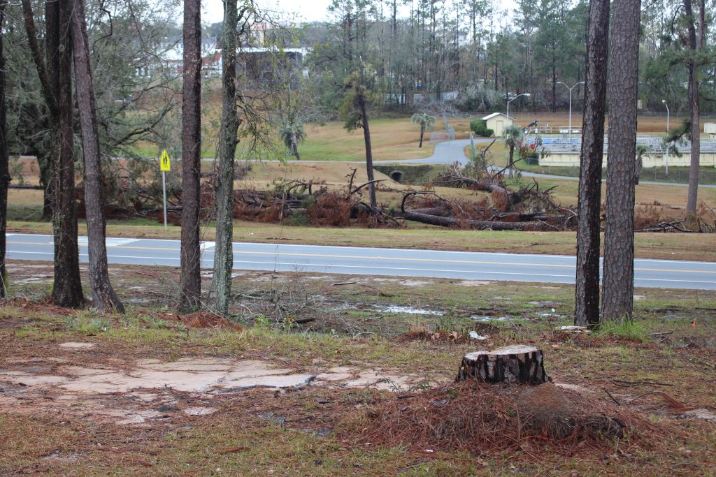 Hurricane prep for furnished rentals - relevant image for Tallahassee, FL.