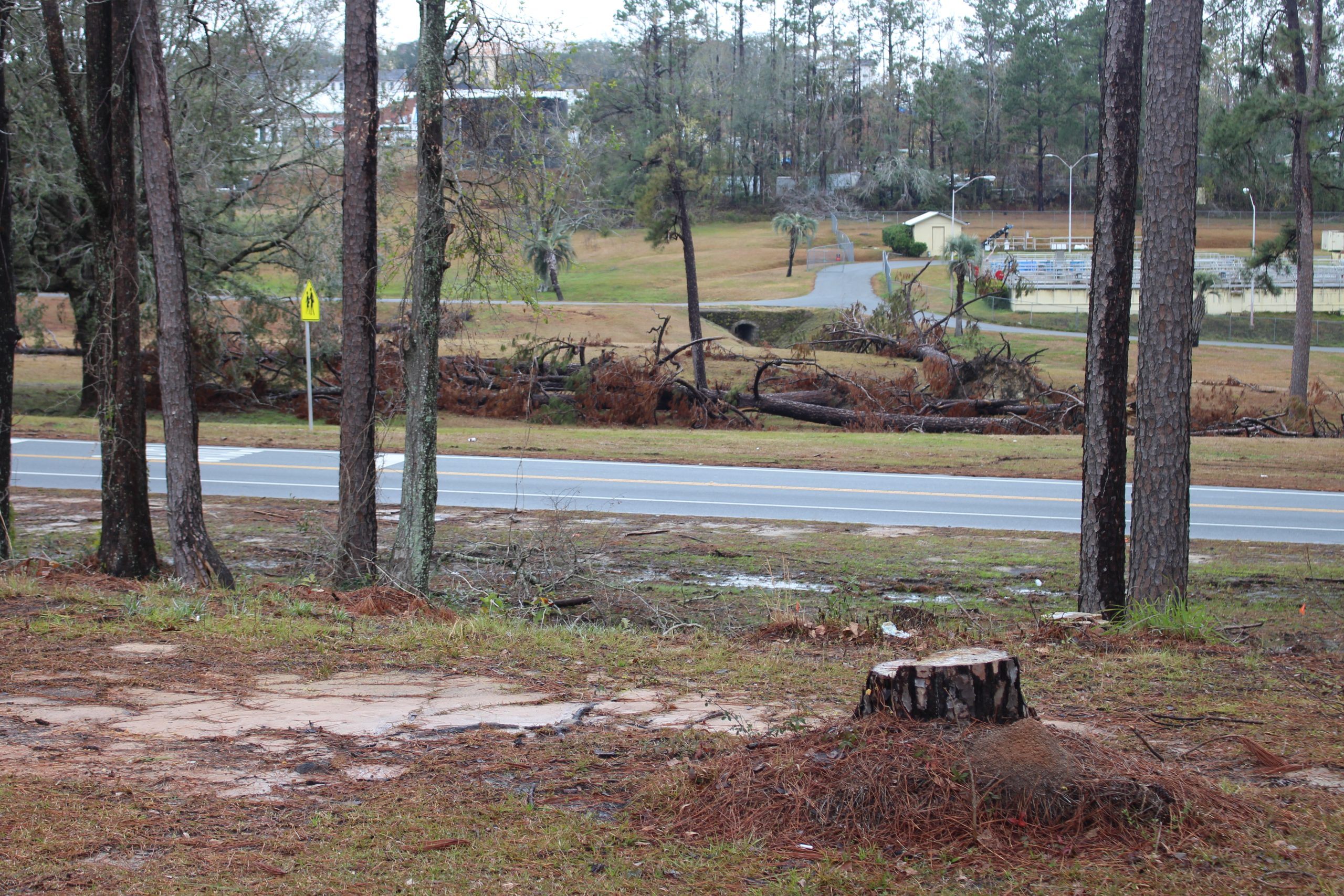 Hurricane prep for furnished rentals - relevant image for Tallahassee, FL.